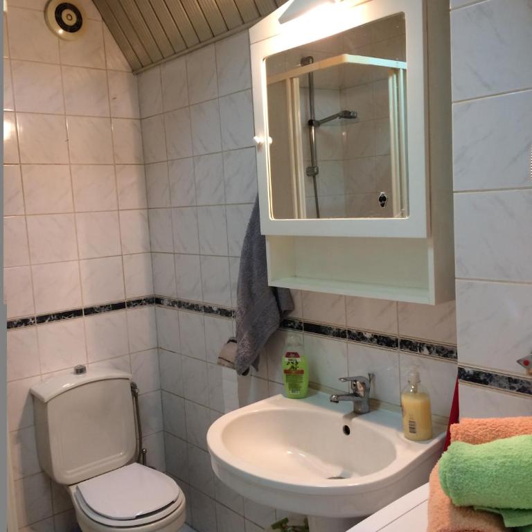 Vracar Krunska Jamiva - Apartman sa 1 Spavaćom Sobom - 20