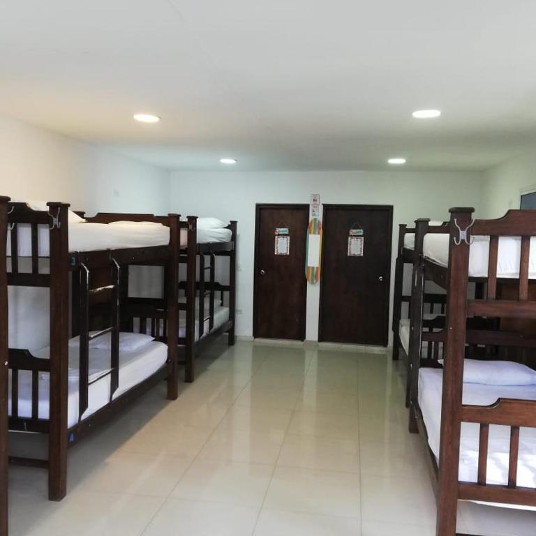 Villa Sarie Bay - Cama individual en habitación compartida mixta de 10 camas con 2 baños compartidos - 6