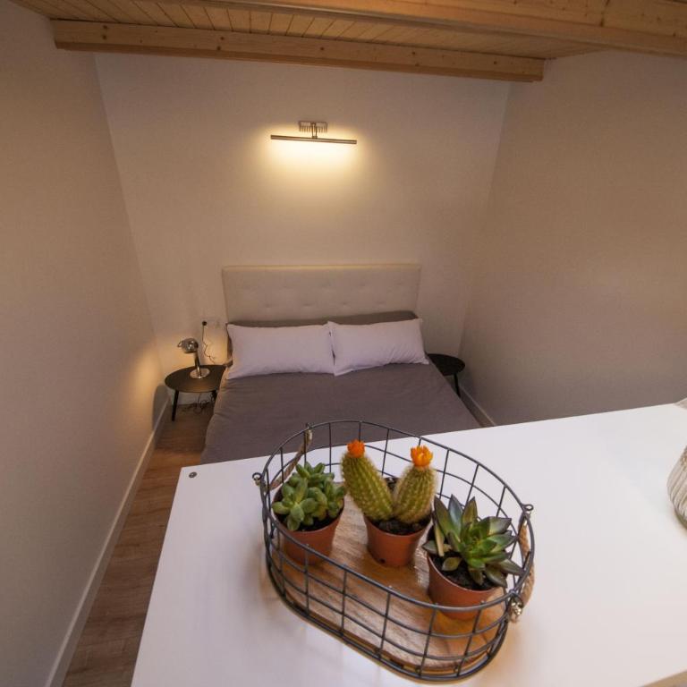 atico patio de la plata - Apartamento - 10
