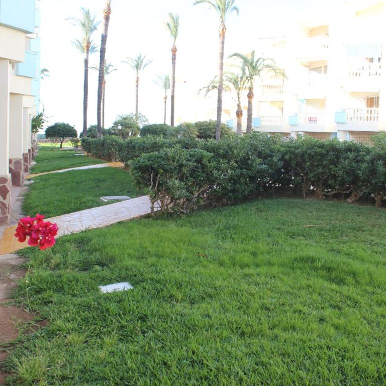 Holiday Beach - Apartamento de 2 dormitorios - 5