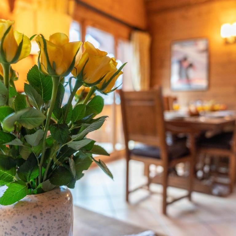 Clos 3 - Chamonix - Apartamento - 12
