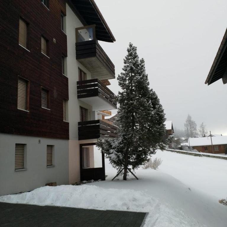 Haus Opal Wohnung Nr. 31 - Appartement avec Vue sur la Montagne - 21