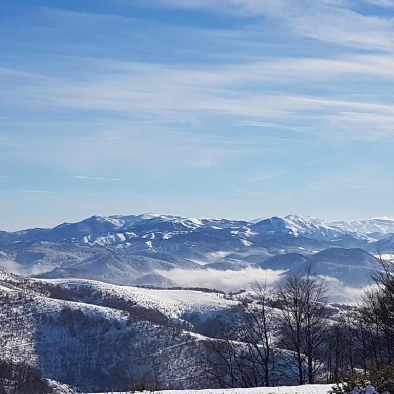 Family Apartment 5 Lux Vidik Kopaonik - Apartment - 22