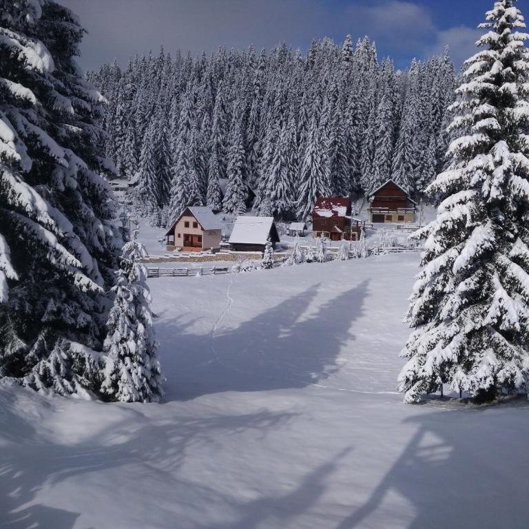 Apartment Durmitor - Apartment - Ground Floor - 24