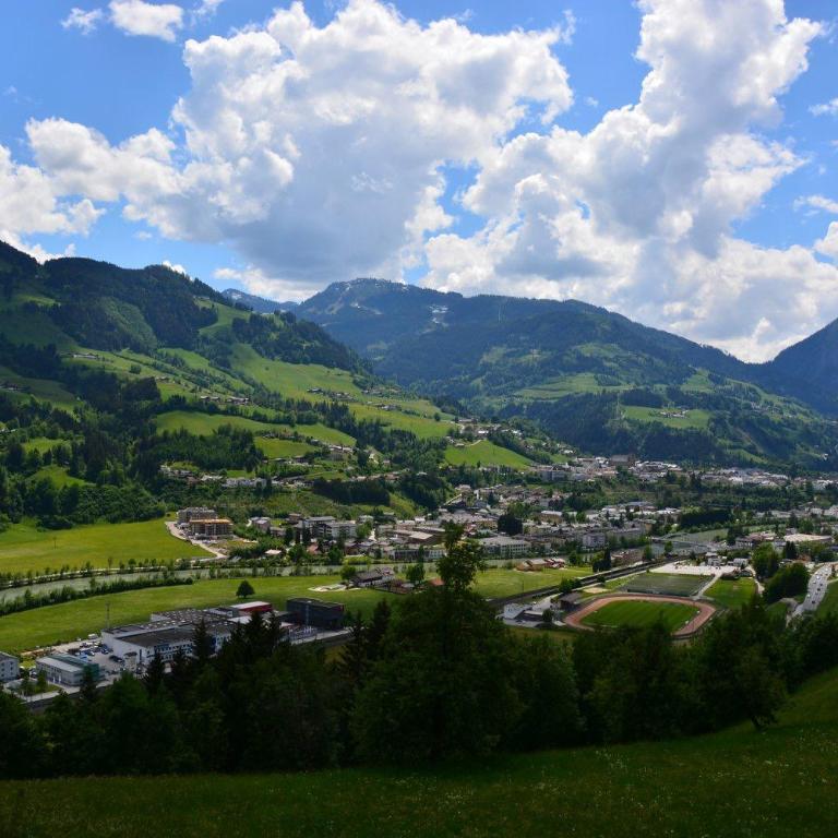 Niederstallnhof - Appartamento con Vista Montagna - 2