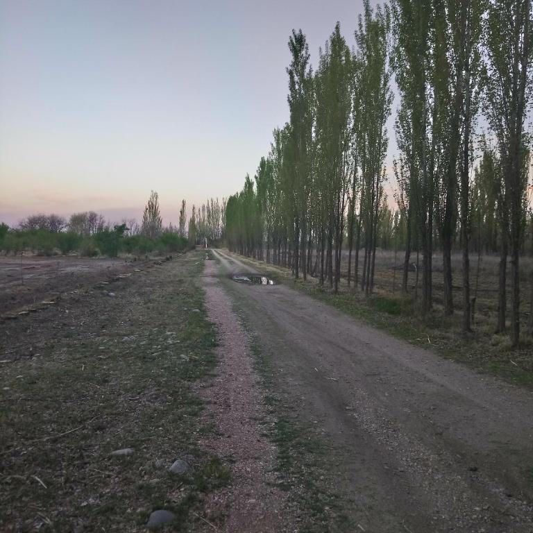 Finca La Casa Amarilla - Casa - 15