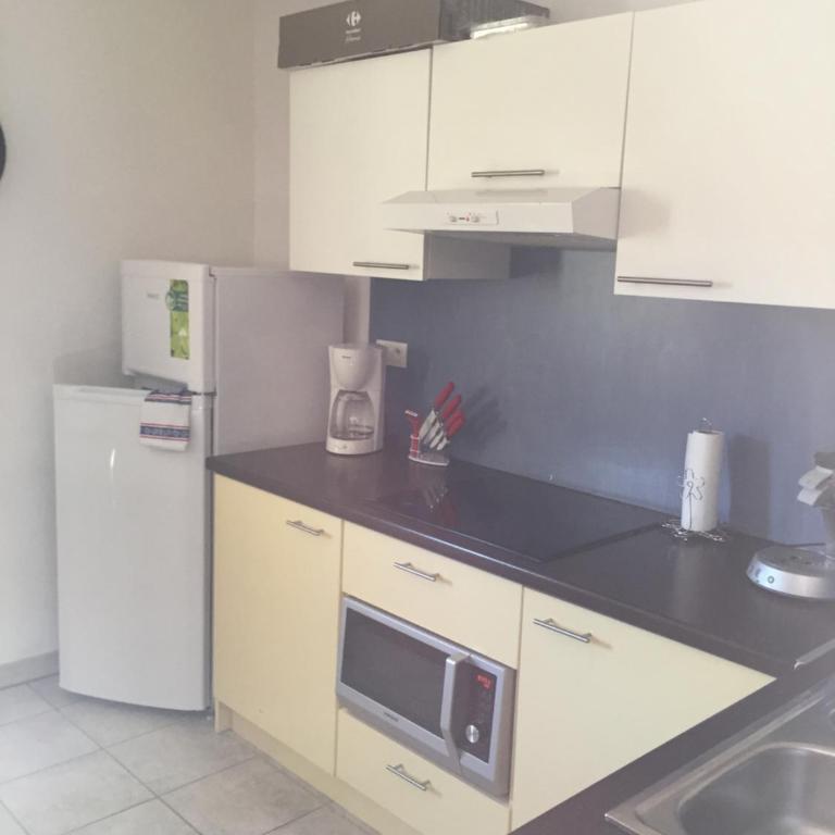 T 3 appart les jardins du phœbus - Appartamento - 16