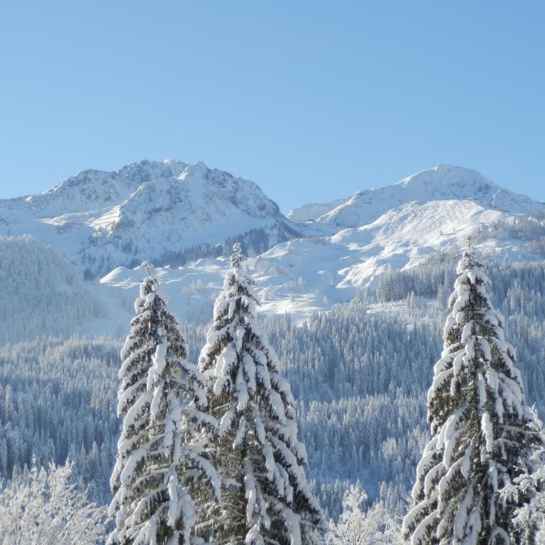 Ferienwohnung App. MOUNTAIN VIEW - Apartment mit Blick auf die Berge - 22