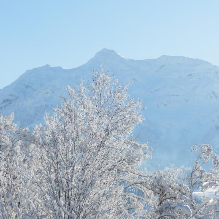 Ferienwohnung App. MOUNTAIN VIEW - Apartment mit Blick auf die Berge - 24