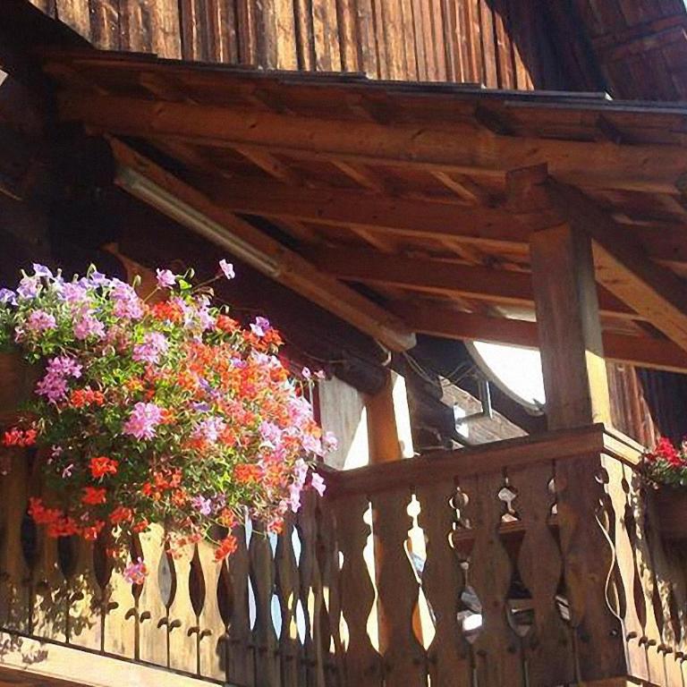 Bauernhof Hatzlhof - Apartment mit Balkon - 15