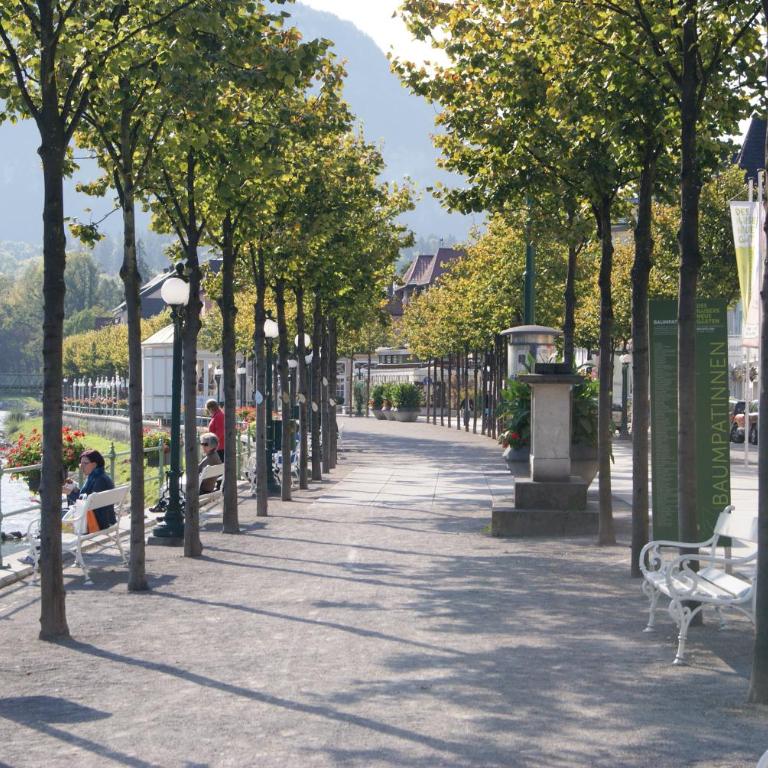 Citycenter Bad Ischl - Studio Apartments TRAUNKAi - Apartment mit 1 Schlafzimmer - 13
