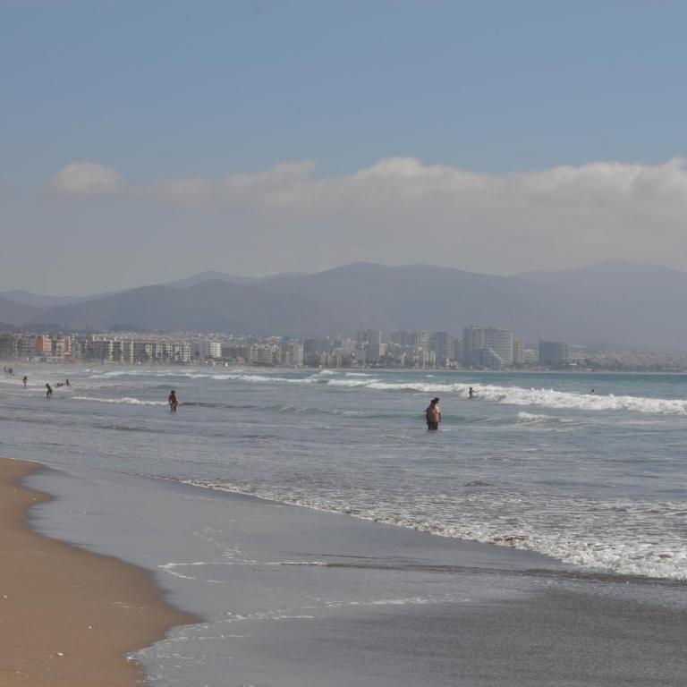 Departamento frente al mar - One-Bedroom Apartment - 16