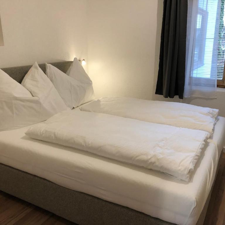 Haus Central Lofer - Apartment mit Terrasse - 3