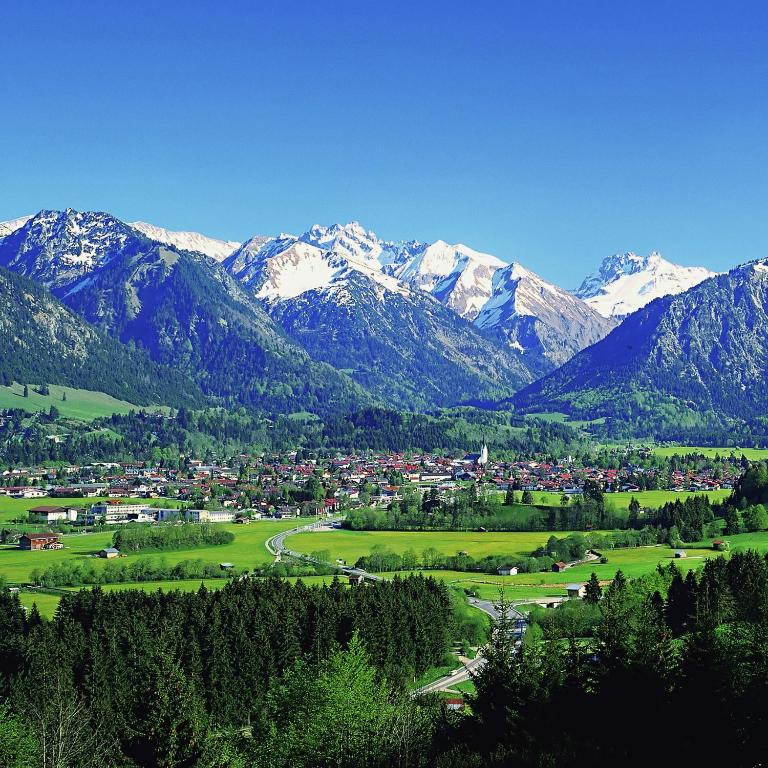 Gästehaus Greiter - Sommer Bergbahnen inklusive - Apartment mit Blick auf die Berge - 19