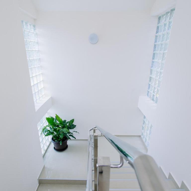 Villa Sladovic - Villa - 36