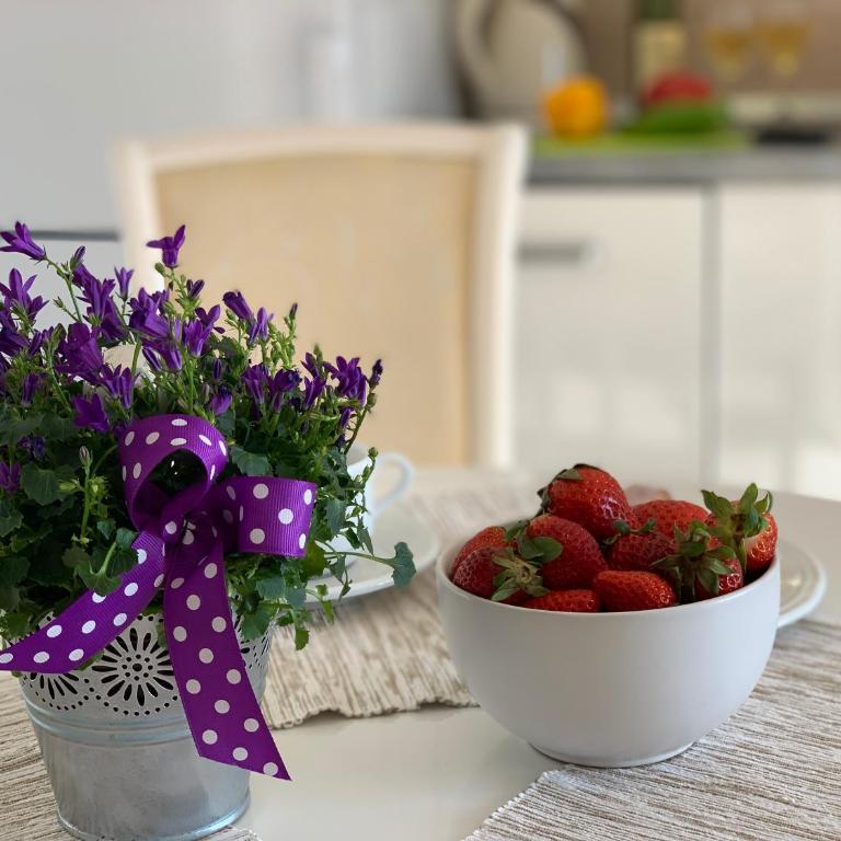 Karina Apartment - Apartman sa Pogledom na More - 10