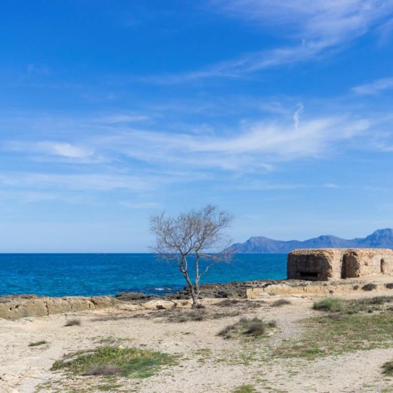 092 Apartamento Ca n'Antonia ETVPL13228 by Mallorca Charme - Apartment with Pool View - 20