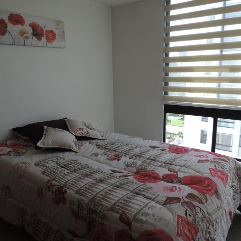 LA MEJOR UBICACIONn - Apartamento de 2 dormitorios - 17