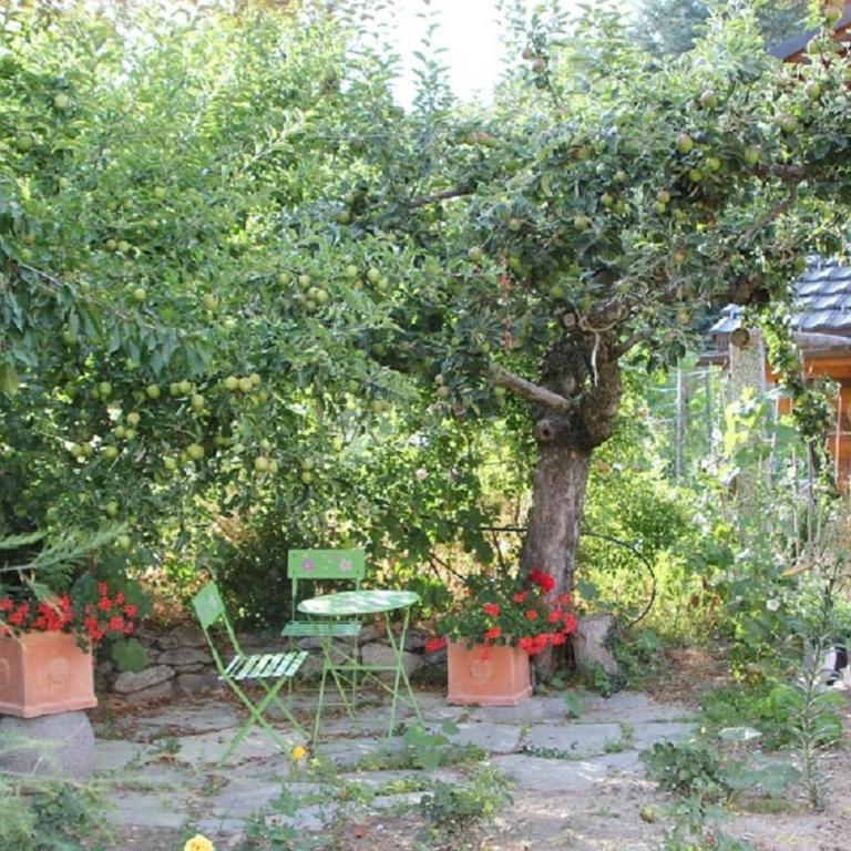 Le Gite de Briey - à 7 minutes de Vercorin - Studio mit Terrasse - 7