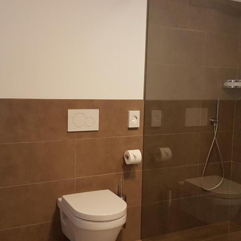 Appartements Dornach - Grande Appartamento con 1 Camera da Letto - 6