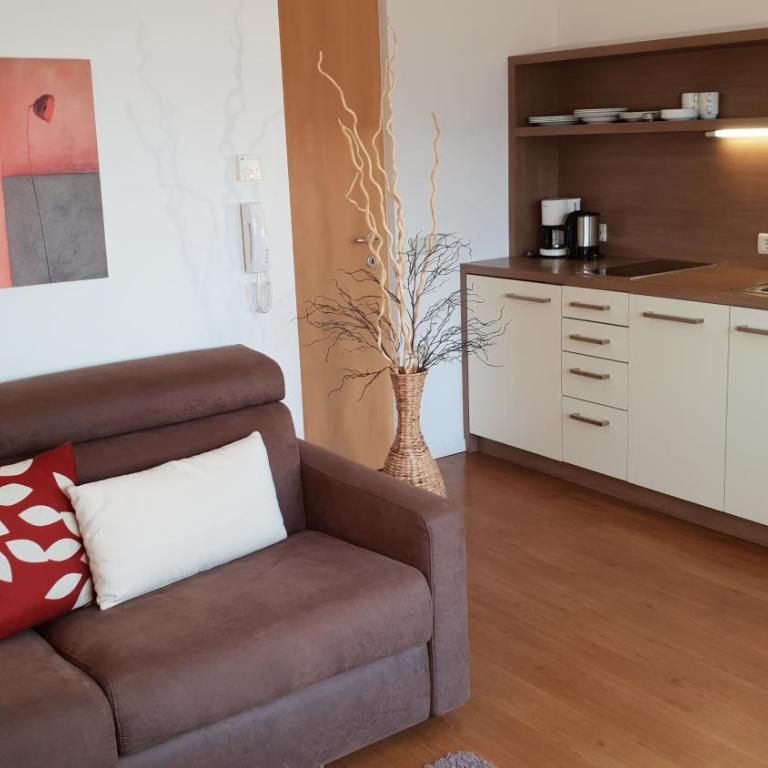 Appartements Dornach - ‪Appartamento con 1 Camera da Letto e Vista Panoramica (2 Adulti)‬ - 8