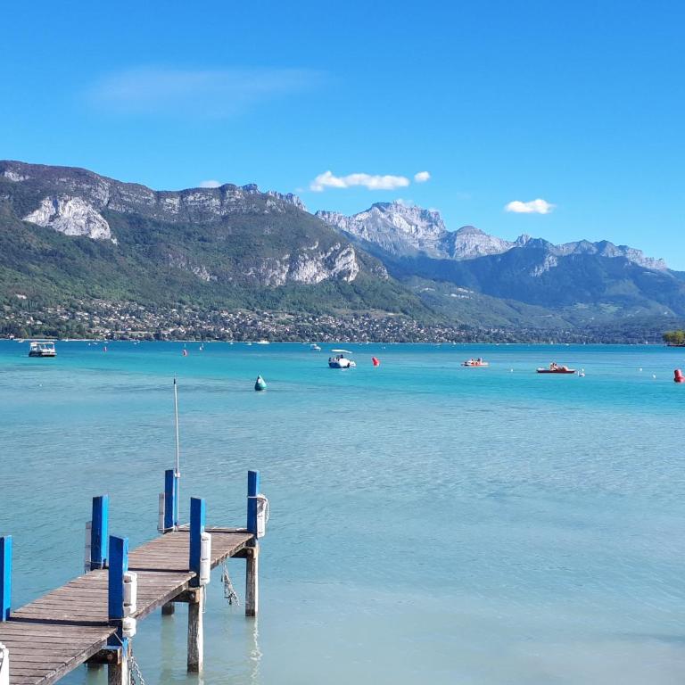 Studio Le Virgile - Annecy - Appartamento - 29