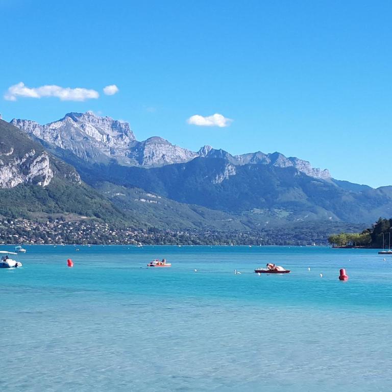 Studio Le Virgile - Annecy - Appartamento - 27