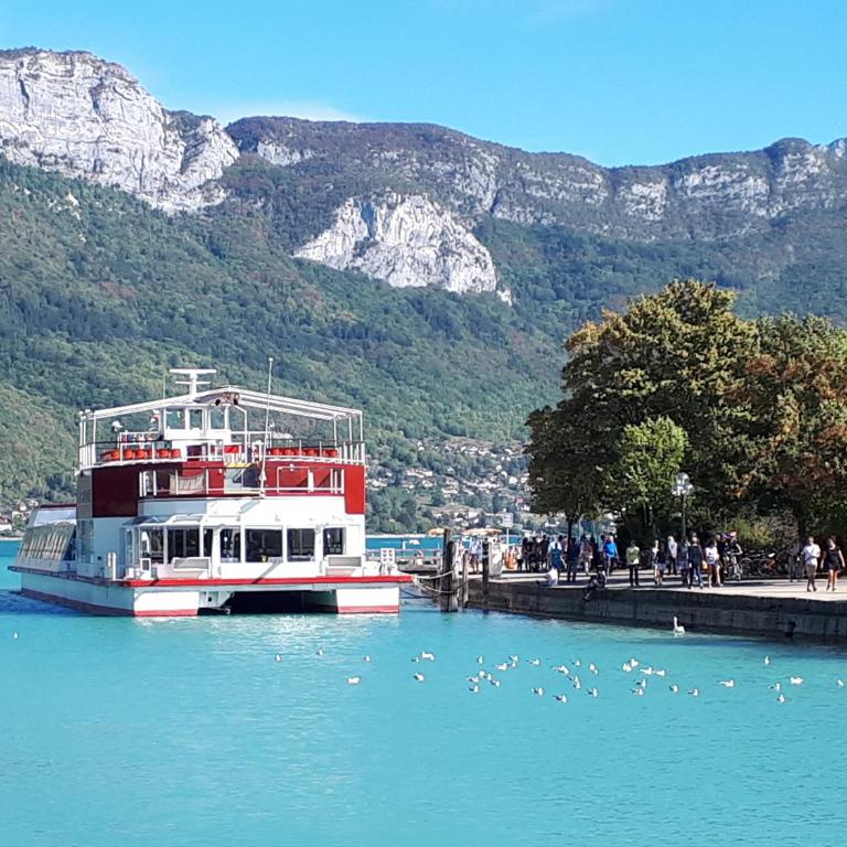 Studio Le Virgile - Annecy - Appartamento - 28