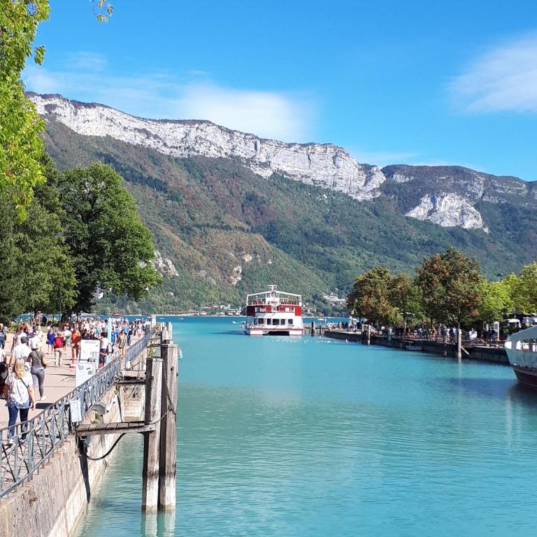 Studio Le Virgile - Annecy - Appartamento - 30