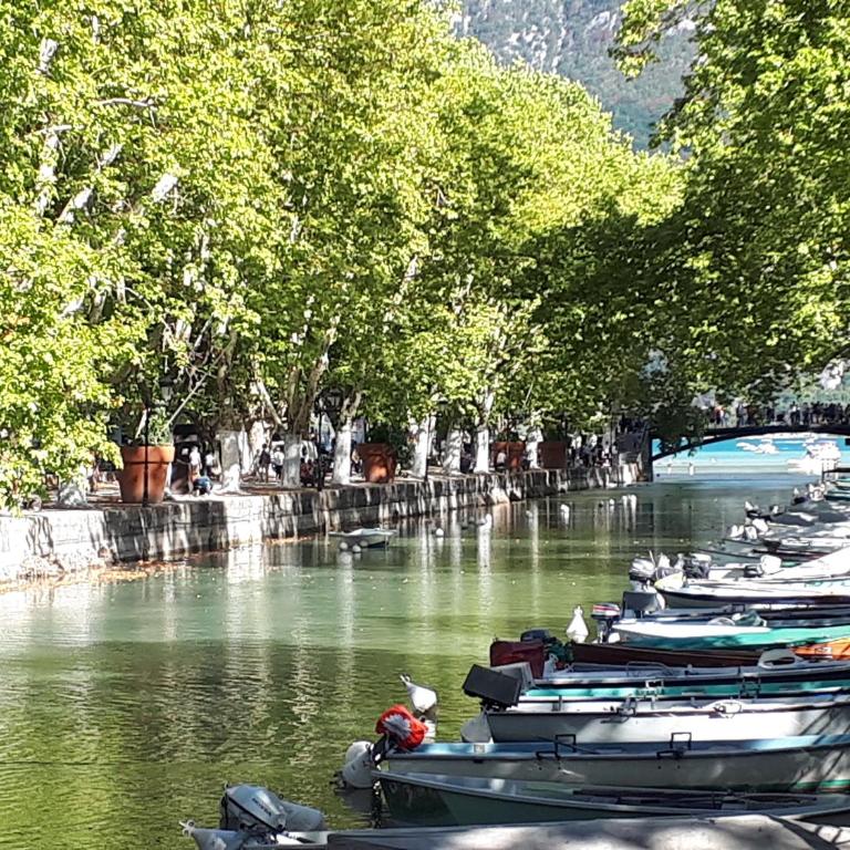 Studio Le Virgile - Annecy - Appartamento - 25