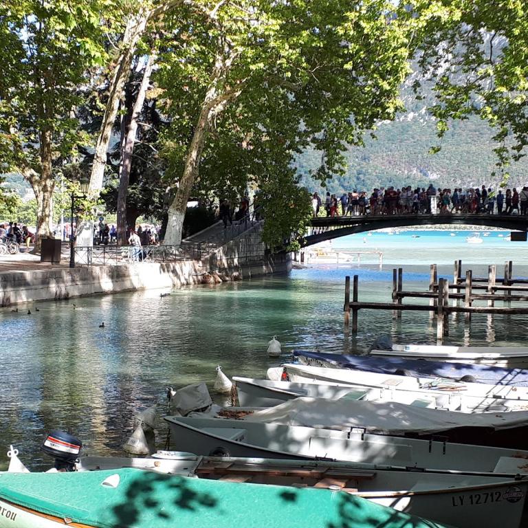 Studio Le Virgile - Annecy - Appartamento - 24