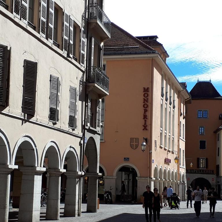 Studio Le Virgile - Annecy - Appartamento - 17