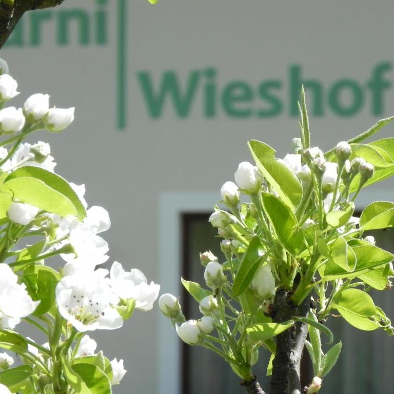 Hotel Garni Wieshof - Comfort Doppelzimmer - 9