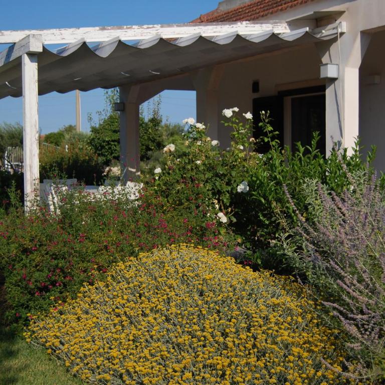 Villa Garden - Villa - 34