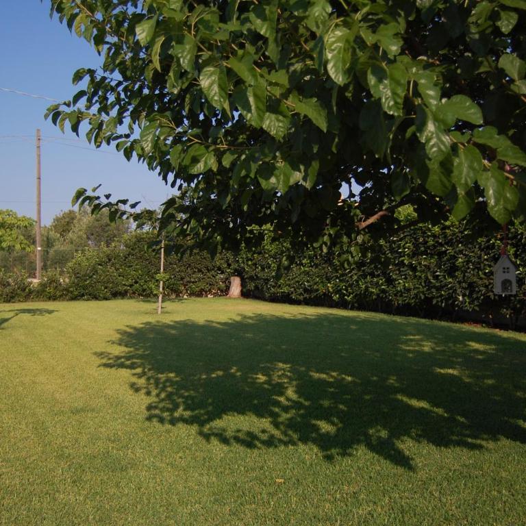 Villa Garden - Villa - 35