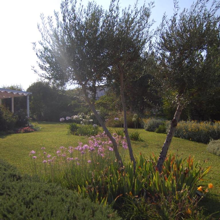 Villa Garden - Villa - 37