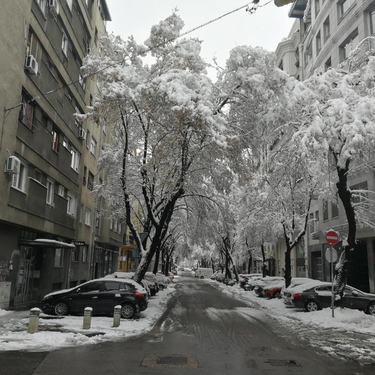 Belgrade city center , Light of Dorcol - Apartman sa 1 Spavaćom Sobom - 22
