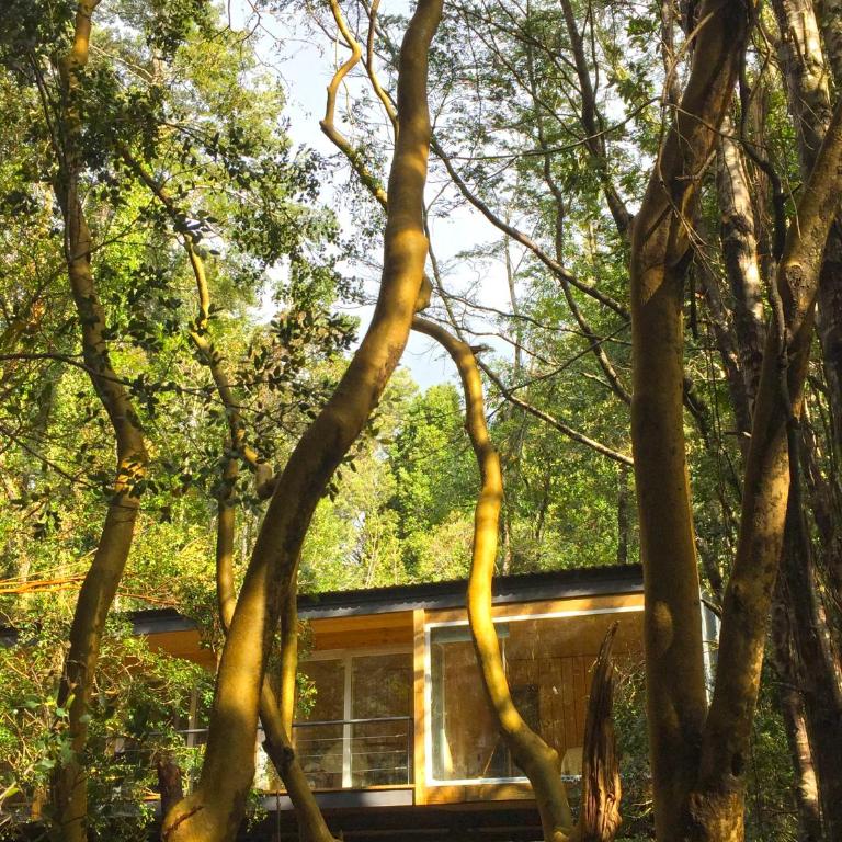 Ralun Patagonia - Two-Bedroom House - 10