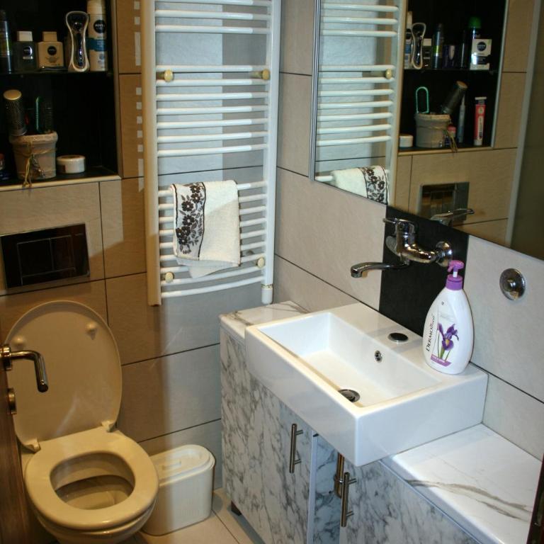 Fenix Cvetni trg - Apartman sa 1 Spavaćom Sobom - 15