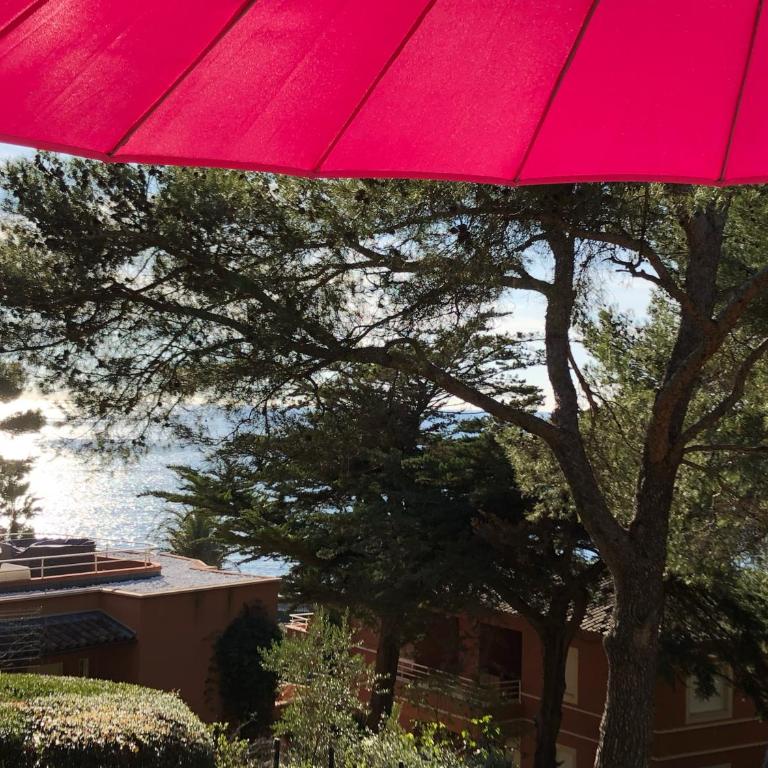 50m Plage T2 Grande Terrasse Vue Mer Climatisé Piscine Chauffée, Parking clos gratuit - Appartement - Vue sur Mer - 14