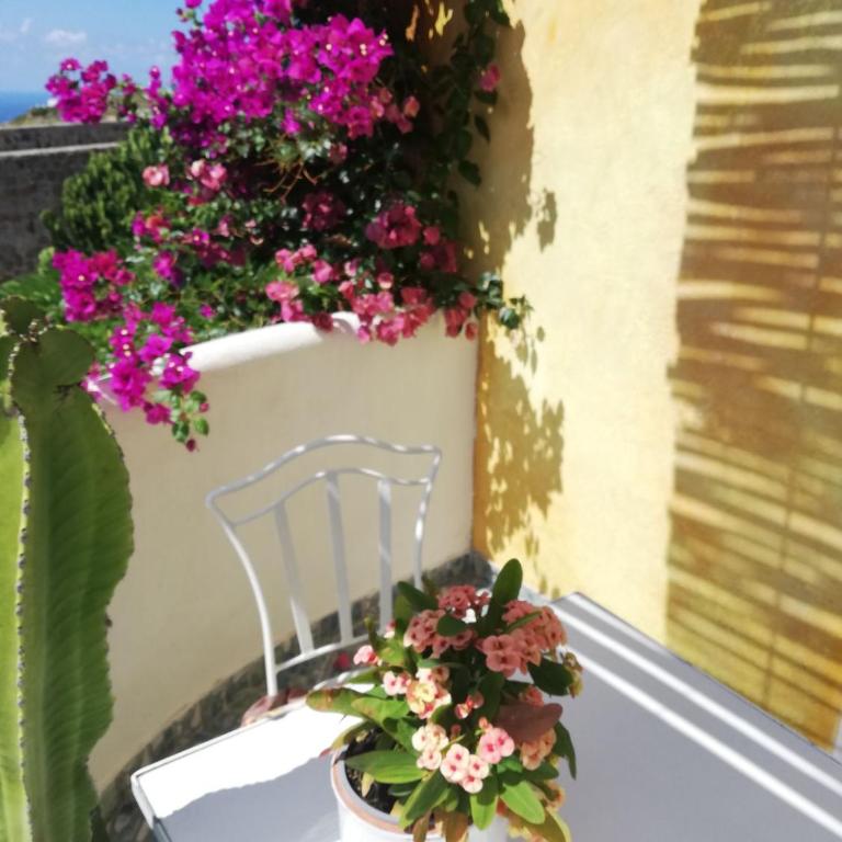 Casa Gialla B&B - Camera Matrimoniale con Terrazza - 14