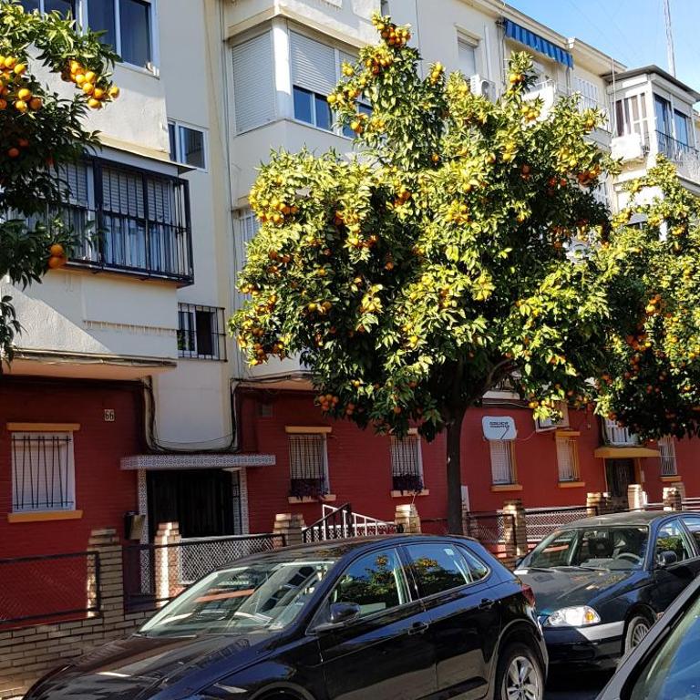 Sevilla Nervión piso con Patio - Apartamento - 6