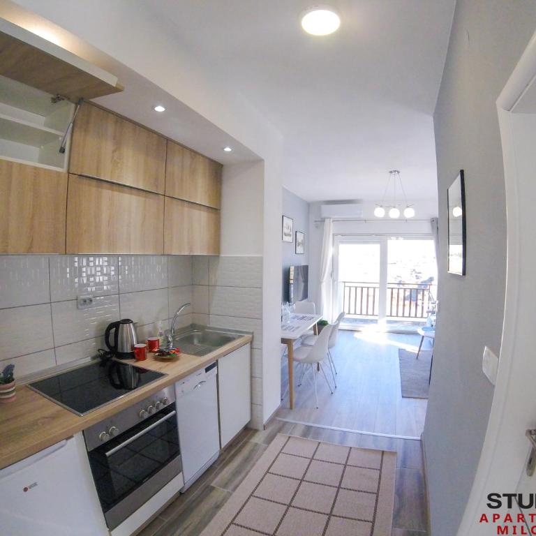 Studio apartmani Milović - Apartman sa 1 Spavaćom Sobom - 25