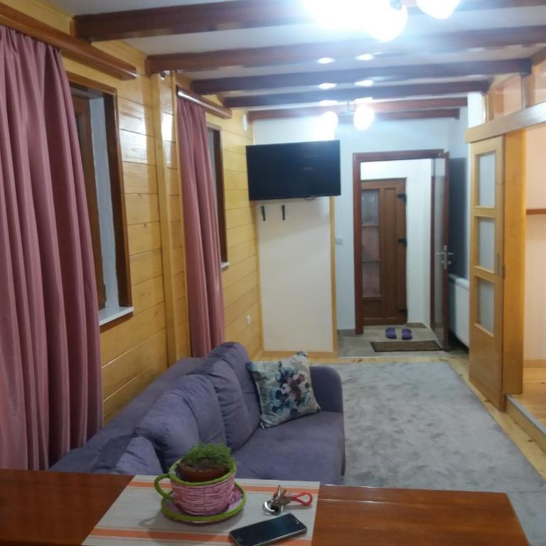 Apartments Vila Zubović - Apartment - 18