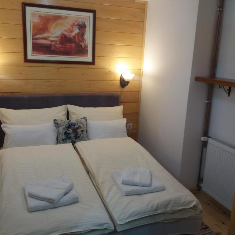 Apartments Vila Zubović - Apartment - 16