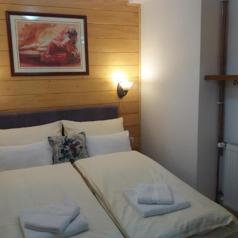 Apartments Vila Zubović - Apartment - 7