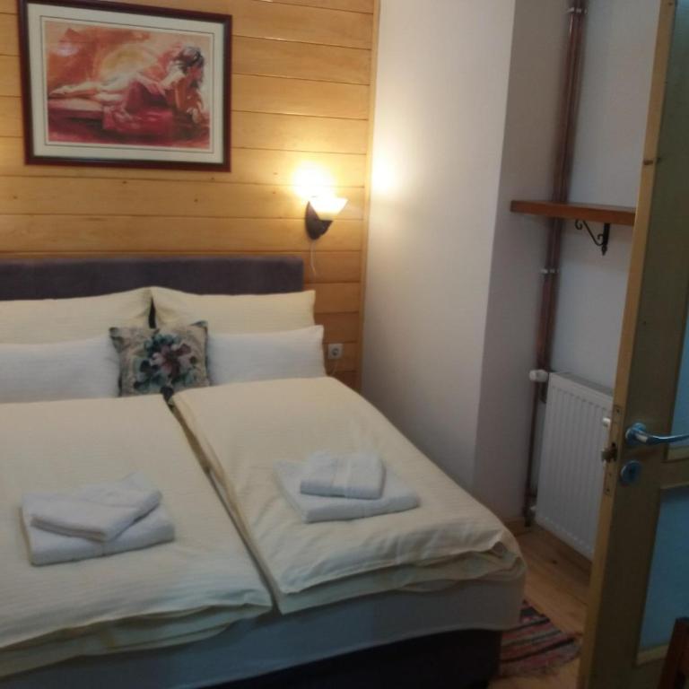 Apartments Vila Zubović - Apartment - 8