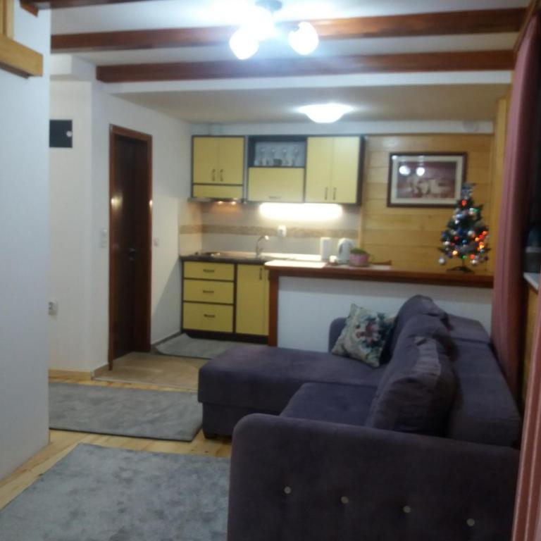 Apartments Vila Zubović - Apartment - 10
