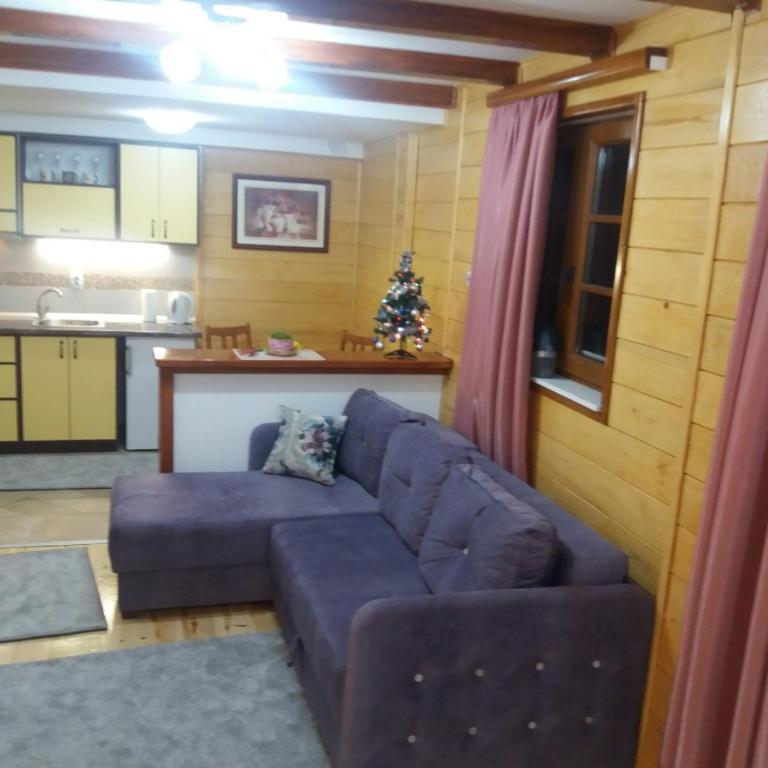 Apartments Vila Zubović - Apartment - 14
