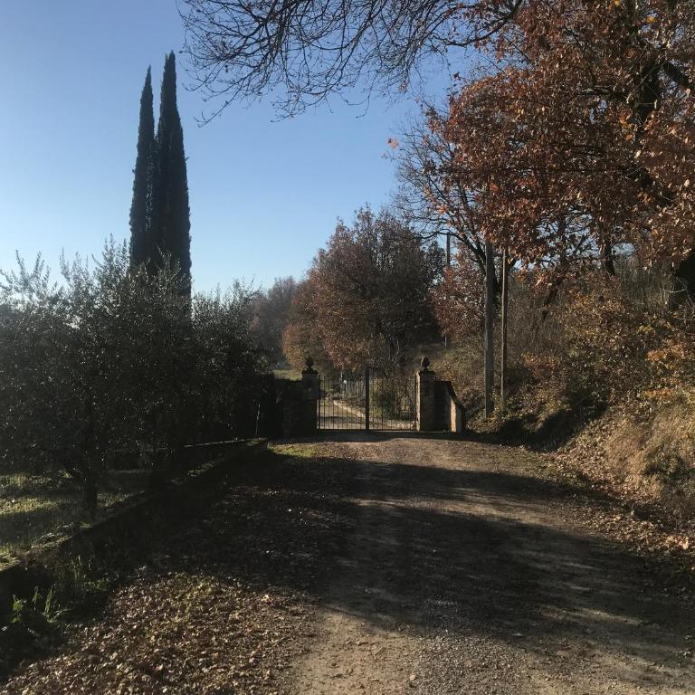 Country Suite Home - Appartamento - 7